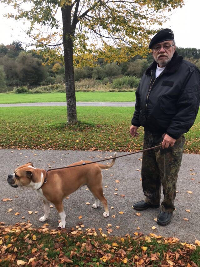 Spaziergang mit Yoko