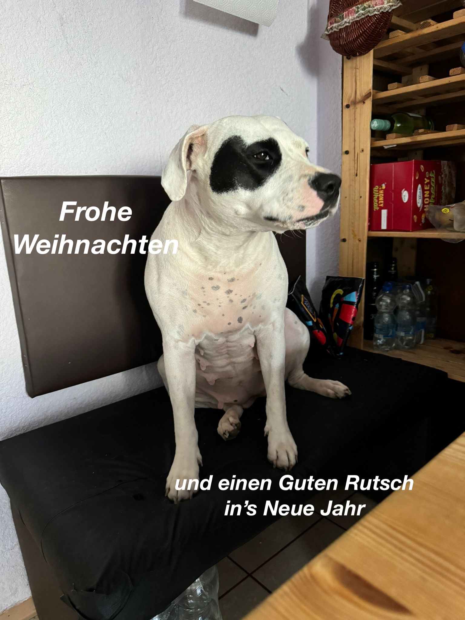 Weihnachtsgruß